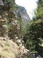 IMG_2210 - Copy